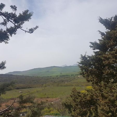 Al Bosco Ficuzza B&B 외부 사진