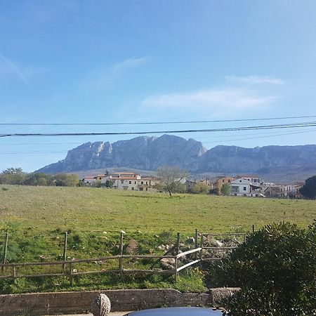 Al Bosco Ficuzza B&B 외부 사진