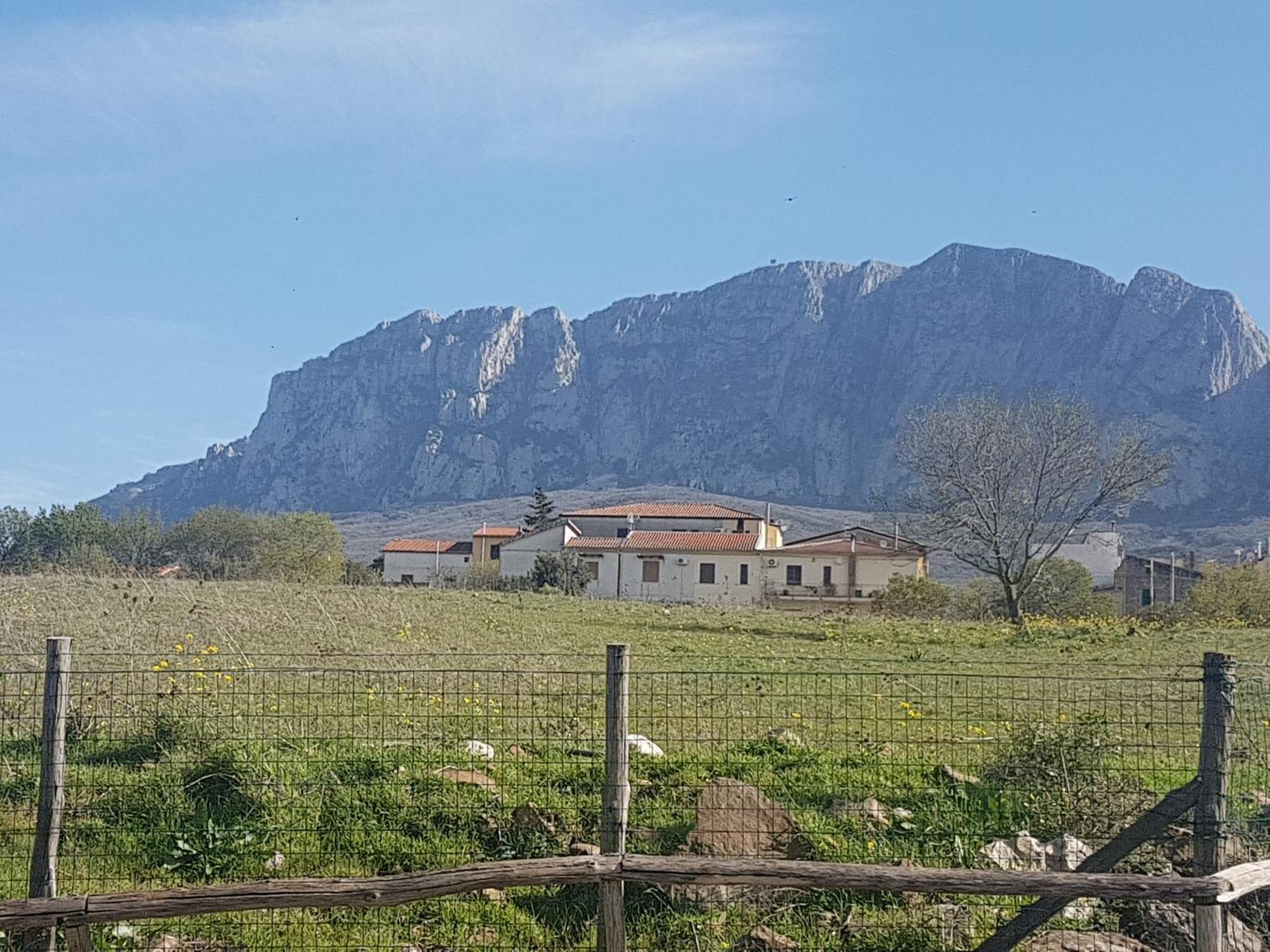 Al Bosco Ficuzza B&B 외부 사진