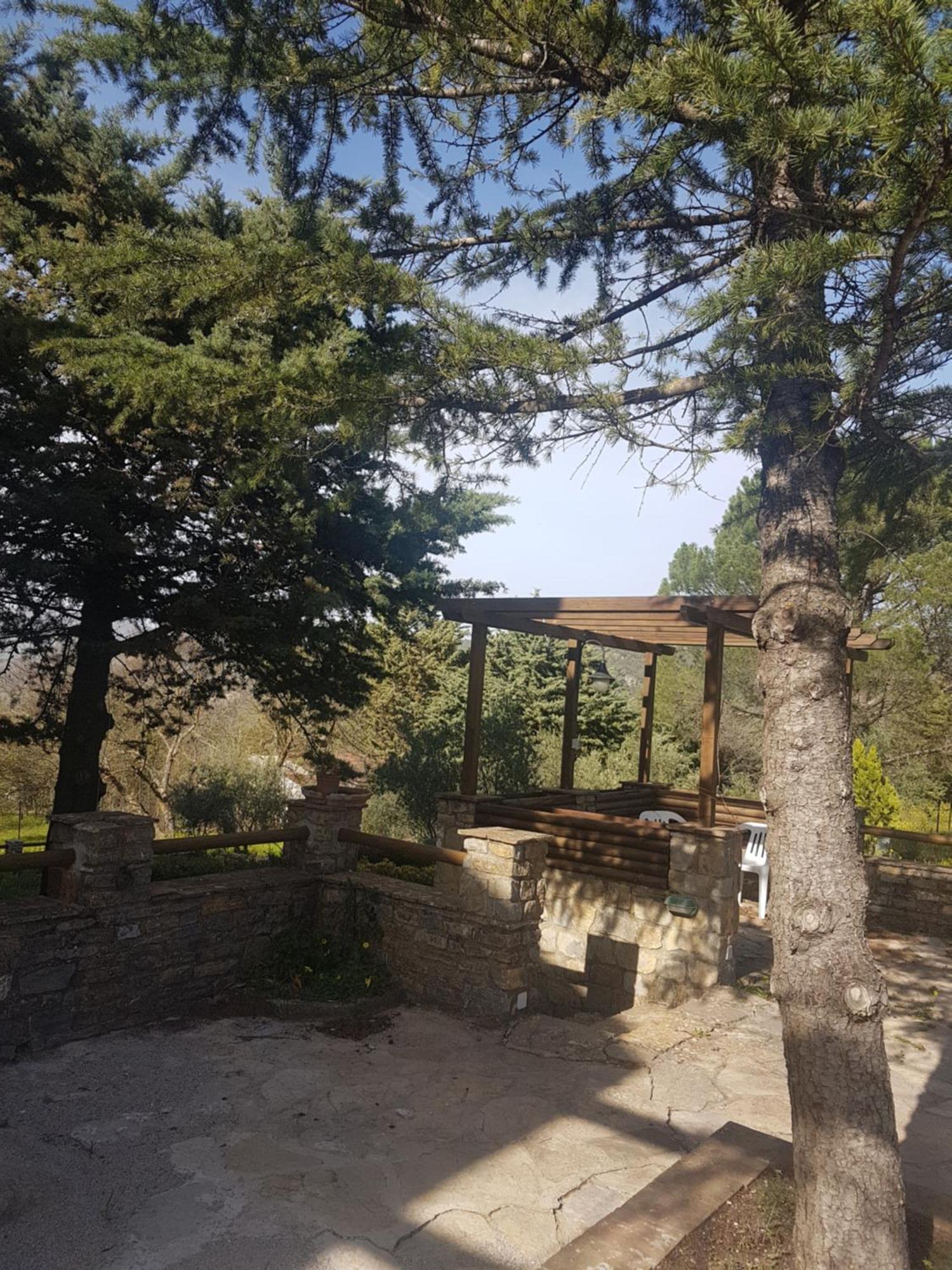 Al Bosco Ficuzza B&B 외부 사진