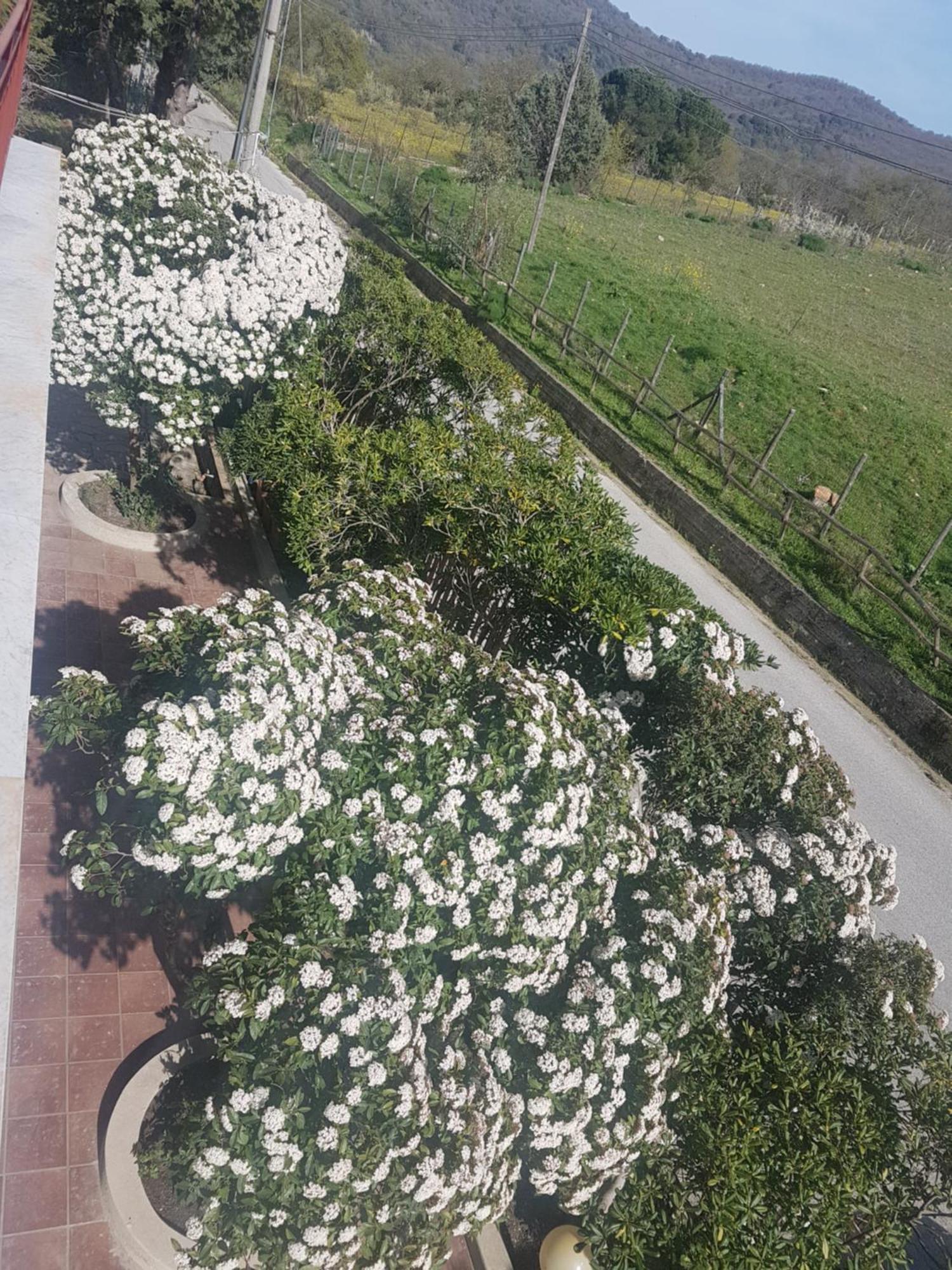 Al Bosco Ficuzza B&B 외부 사진