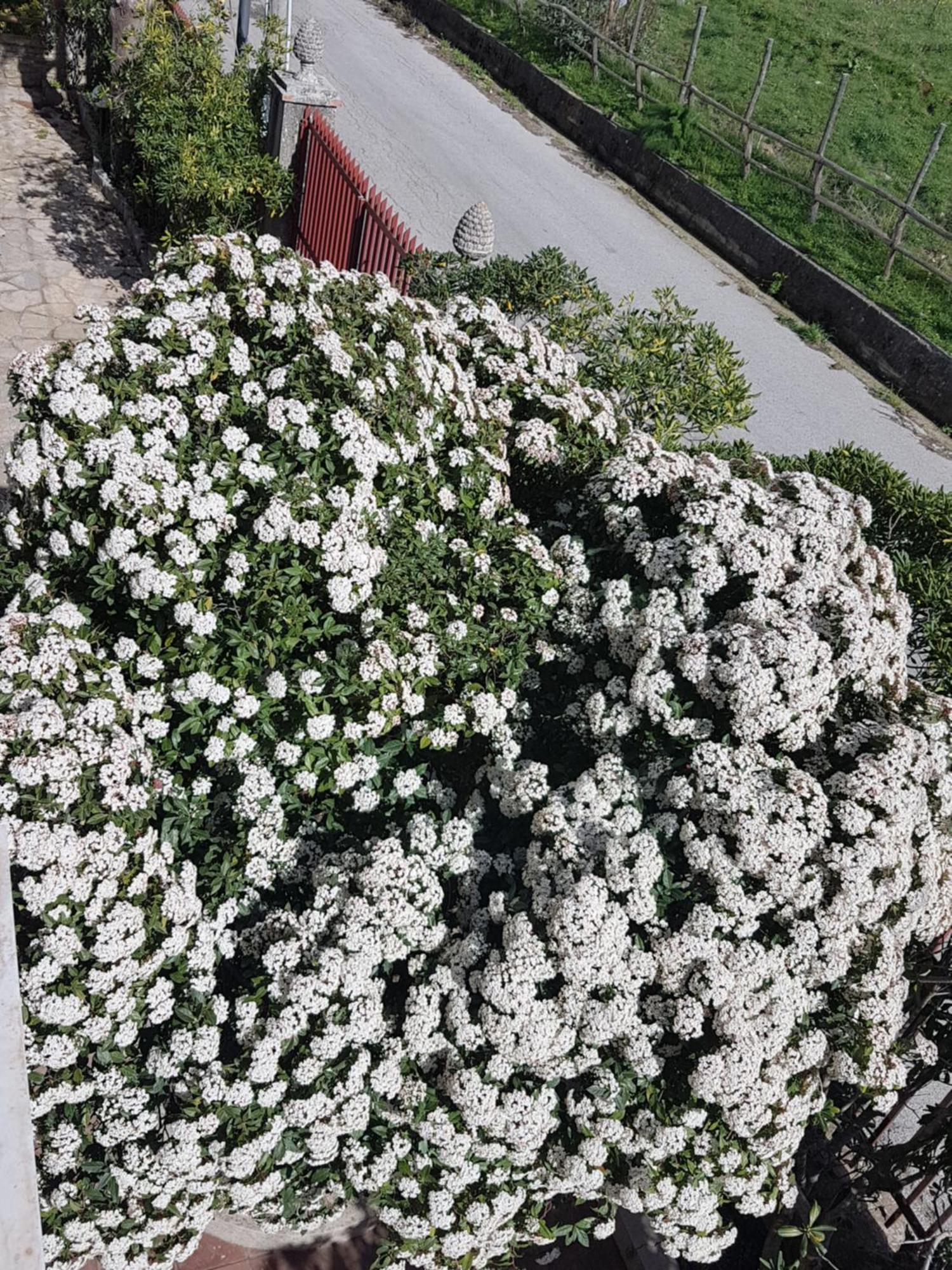 Al Bosco Ficuzza B&B 외부 사진